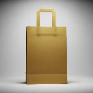Merchandise Bags